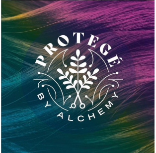 Protegé logo for Alchemy